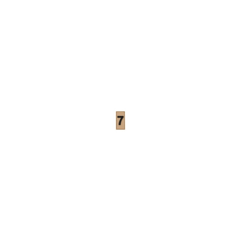 MEMBER IDENTIFICATION PATCH 7 - TAN - JTG