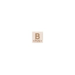 PATCH GRUPPO SANGUIGNO - B POS -  DESERT - CLAWGEAR 