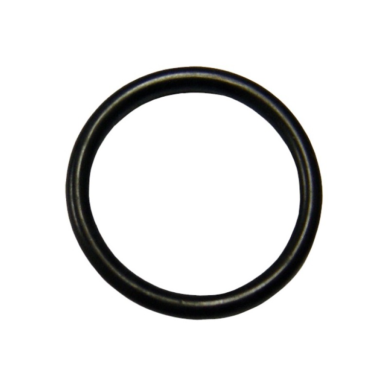 O-RING DI TENUTA TESTA PISTONE - FPS 