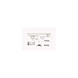 Internal Spring Kit for P226