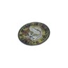 EMBROIDERED PATCH NINTH PARATROOPER ASSAULT REGIMENT - LA PATCHERIA