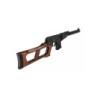 Fucile AEG VSS VINTOREZ - LCT