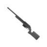 M40 STRIKER EVO 1 Spring Rifle - Ares - EMG