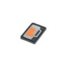 Beer Drinking Patch - The Patcheria