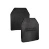 MULTICURVE TRAINING PLATE - 2.5KG - TEMPLAR'S GEAR