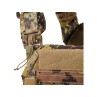STORM Quick Release Plate Carrier with Triple Pouch - DEFCON 5