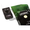 Pallini BIO 0.28g PROFESSIONAL Performance -1kg - NIMROD
