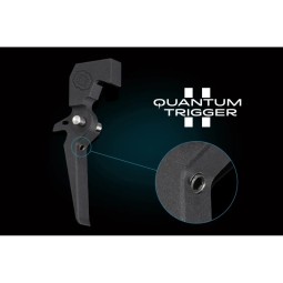 Centralina ASTER II V2 Bluetooth® EXPERT cavi POST. e QUANTUM 2 - GATE