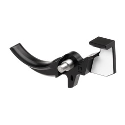 QUANTUM 1E1 Trigger for ASTER V2 - GATE