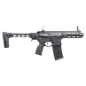 AEG Rifle ARP556 3.0 - G&G