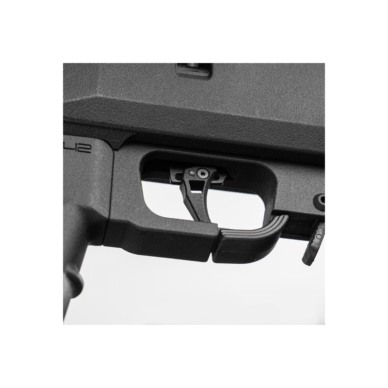 Fucile PCEP Model ONE Pro - 542 Accuracy
