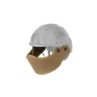 FAST Helmet Face Protection - EMERSON