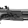 Fucile elettrico ARP 556 2.0 - G&G