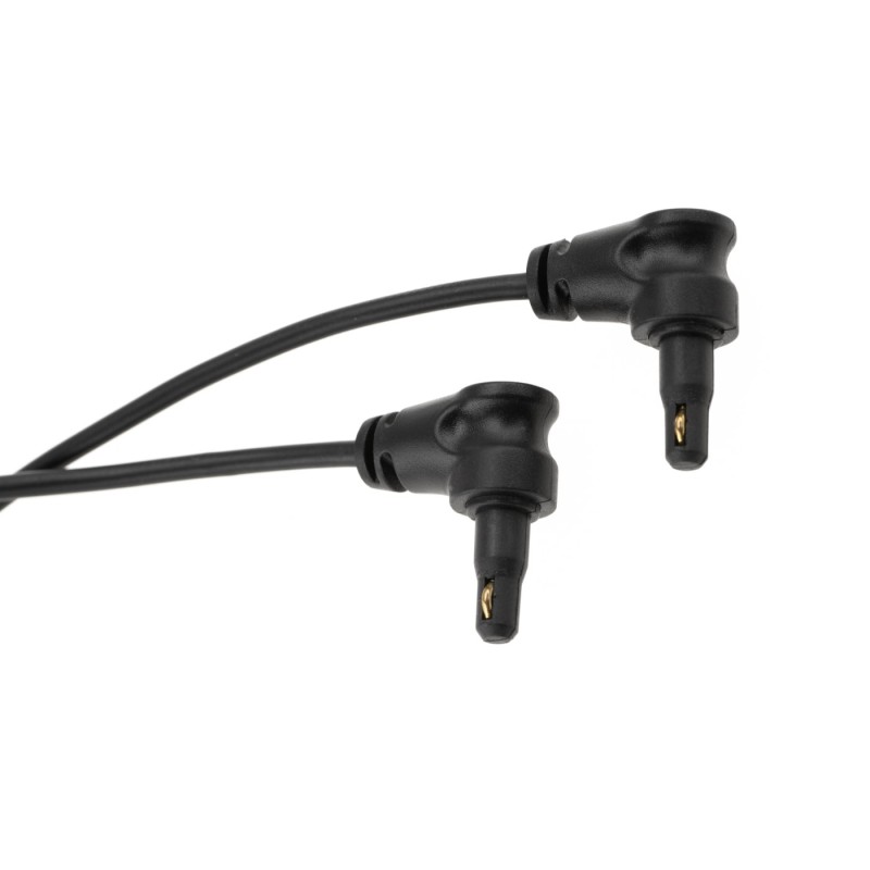 Dual Crane Plug Remote - WADSN