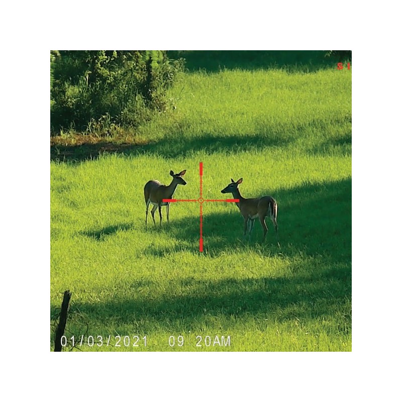 Mirino digitale giorno e notte WRAITH 4K MINI  2-16x32 - Sightmark
