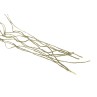 Ghillie Threads - Invader Gear