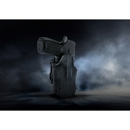 T-SERIES Holster for P320 P250 with Streamlight TLR 7&8 - BLACKHAWK®
