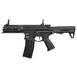 Fucile elettrico ARP 556 - G&G