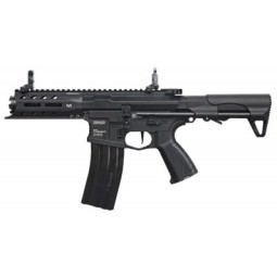 Fucile elettrico ARP 556 - G&G