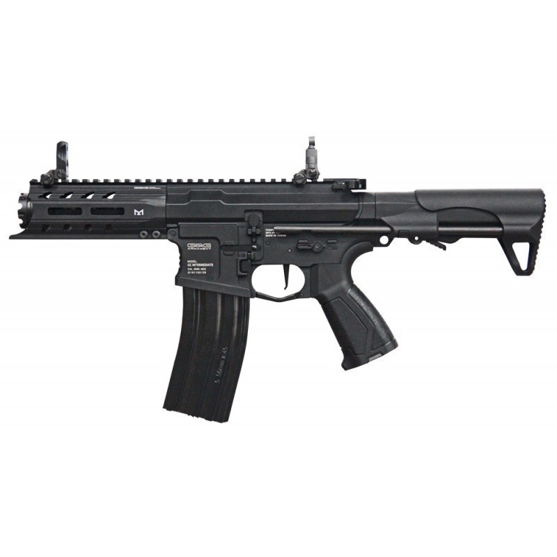 Fucile elettrico ARP 556 - G&G