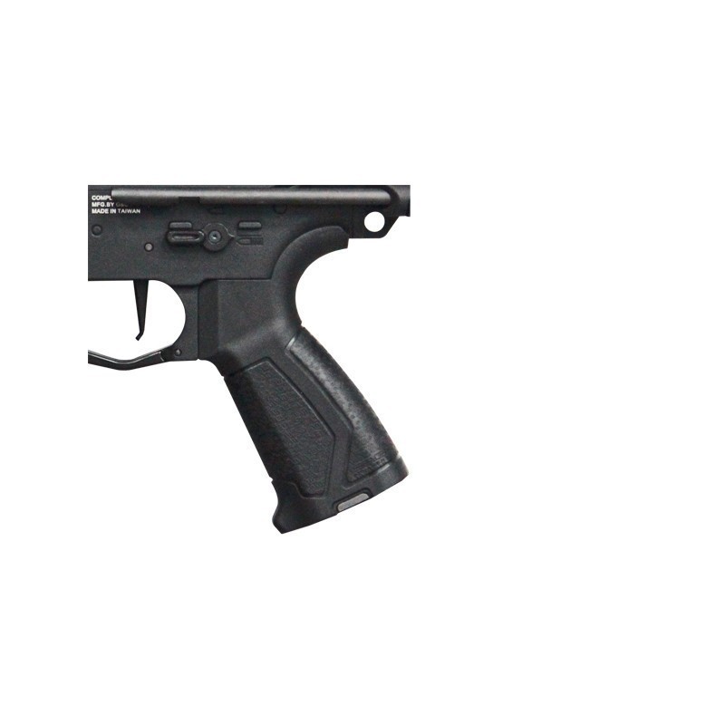 Fucile elettrico ARP 556 - G&G