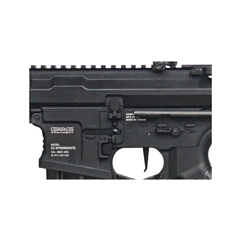 Fucile elettrico ARP 556 - G&G