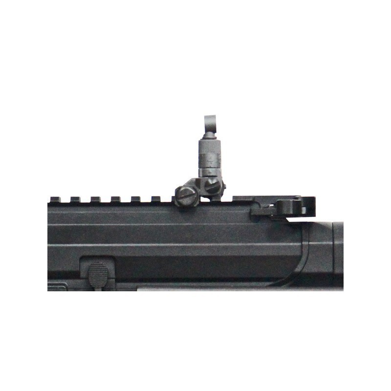 ARP 556 Electric Airsoft Rifle - G&G