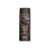 VERNICE SPRAY FOSCO VW BULLI GREEN