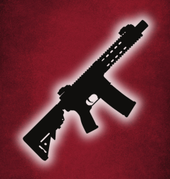 RIFLEs
