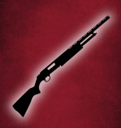 SHOTGUNs